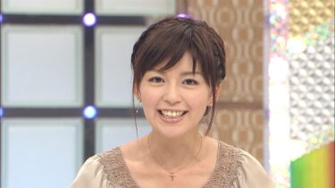 中野美奈子アナの実家は病院！父親や母親に兄弟など家族も全部まとめた！