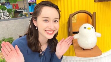 宇賀神メグアナの学歴や学生時代の画像!出身中学・高校・大学全部まとめた!