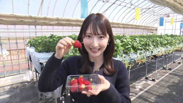 橋本華歩プロフ
