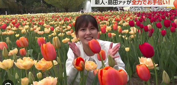 島田嘉乃アナアイキャッチ画像