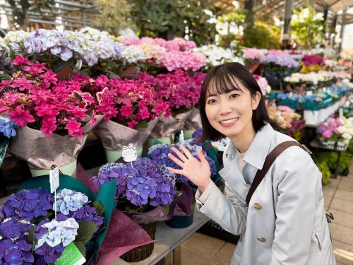 菅原ともか_あじさい
